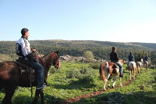 חוות מונפורטויטו